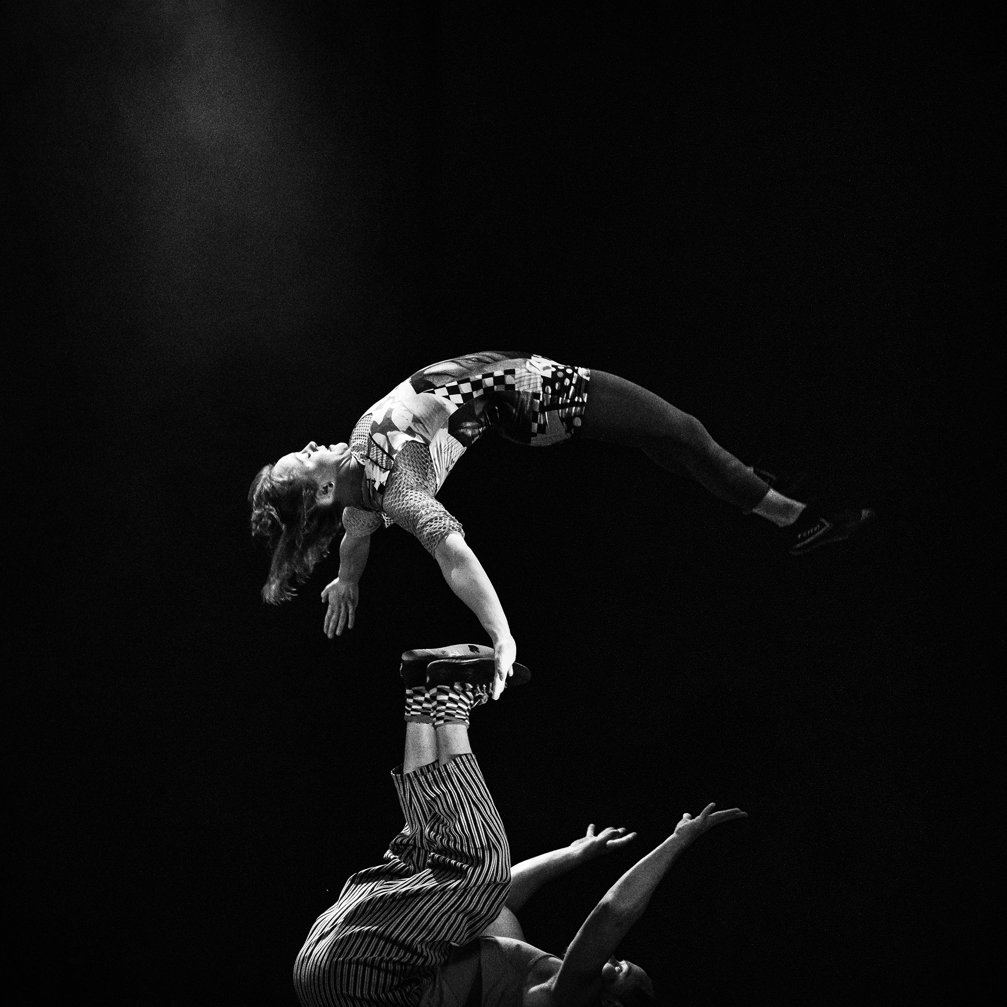 Photo by David Hegarty 23403